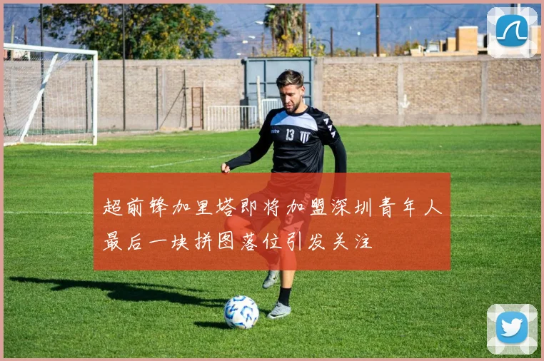 超前锋加里塔即将加盟深圳青年人最后一块拼图落位引发关注