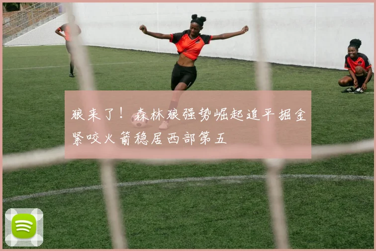狼来了！森林狼强势崛起追平掘金紧咬火箭稳居西部第五