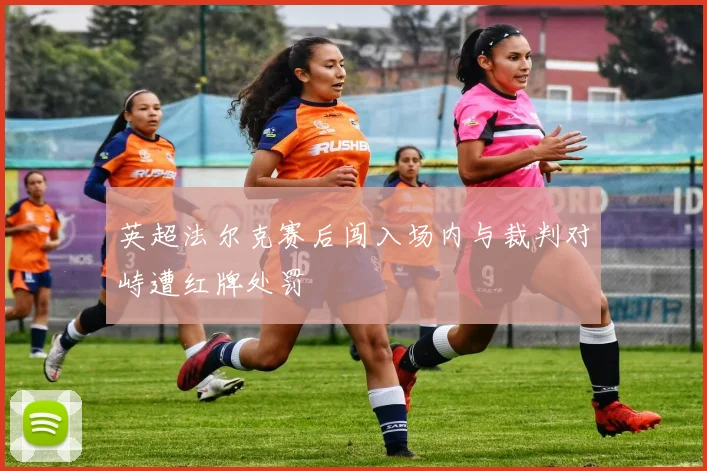 英超法尔克赛后闯入场内与裁判对峙遭红牌处罚